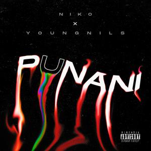 Punani