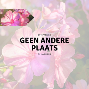 Geleide meditatie (Spiritueel)