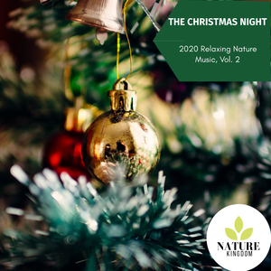 Birds Echo I Need A Roof