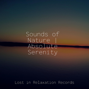 Lakeside Tranquility