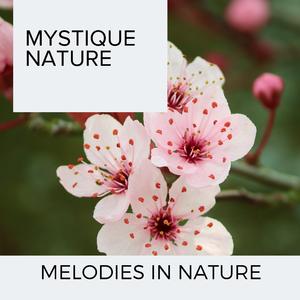 Mountain Fire Motion And Winds