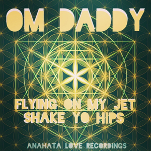 Flying On My Jet (Shake Yo Hips) (Original Mix)