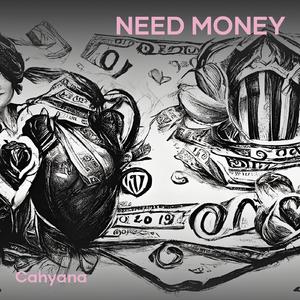 Need Money