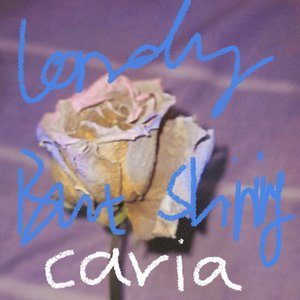 孤独不孤独（lonely but shining）