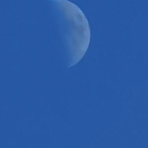 我怎么会浪漫呢