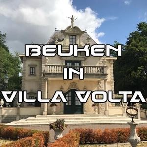 Beuken in Villa Volta
