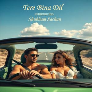 Tere Bina Dil