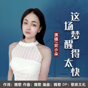 这场梦醒得太快