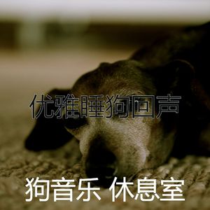 抚慰的训练犬回忆