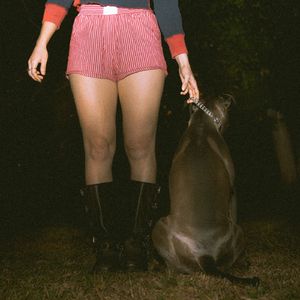 Bloodhound