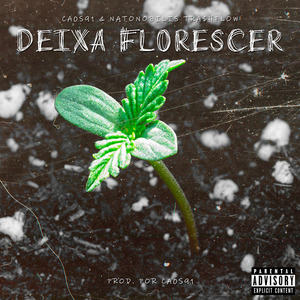 Deixa Florescer