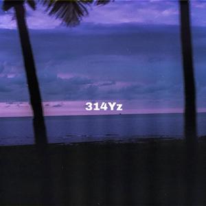 White Cherry-我一个人（314Yz remix）