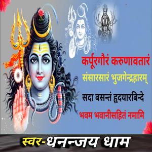 कर्पूरगौरं करुणावतारं संसारसारं भजन karpur gauram karunavatarm bhajan