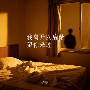 我离开以后希望你来过
