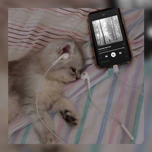 Lovers Rock (Speed Up) (Remix)