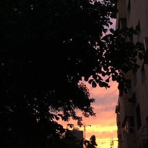 一 個 彩 色 キノコ