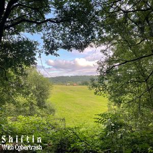 Shiftin (feat. Cybertrash)