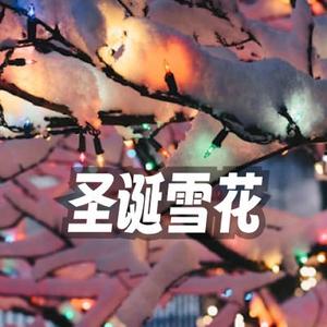 圣诞节的雪花