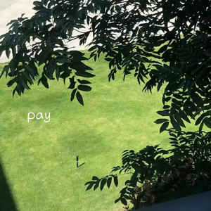 pay