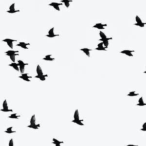 Our Generation's Crime