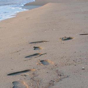 痴心是我犯的错