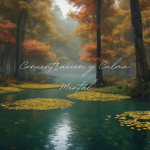 Concentraciòn y Calma Mental