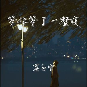 等你等了一整夜 (我想念你的侧脸)