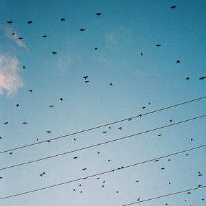 ice cream on a sunny day