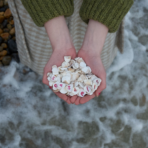 seashells