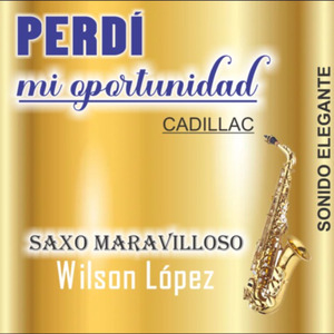 Perdi Mi Oportunidad..,recuerdo De Los Cadillac