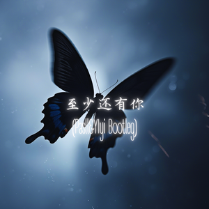 林忆莲-至少还有你（Pasll &YIyi remix）