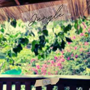 Jungle