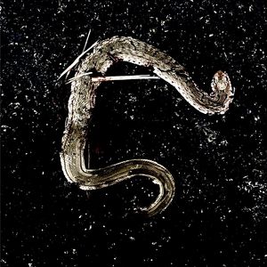 蜕皮（Prod.by YoungKyle）