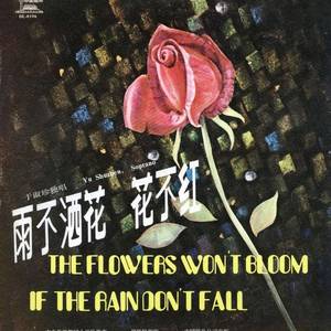 姐摘红菱郎踩藕