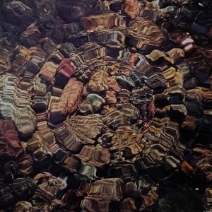 Seguiré (feat. Soledad)