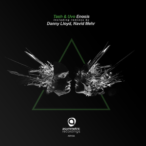 Enosis (Navid Mehr Remix)