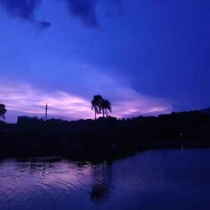 如果我挽留你结局会不会变