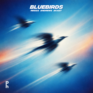Bluebirds
