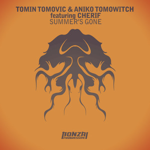 Summer's Gone (Original Mix)