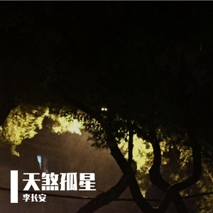 浣花落（孤独的灵魂）