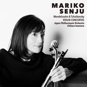Violin Concerto in D Major, Op. 35:II. Canzonetta. Andante