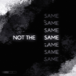 NOT THE SAME (Slowed)