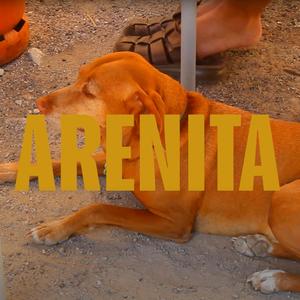 ARENITA
