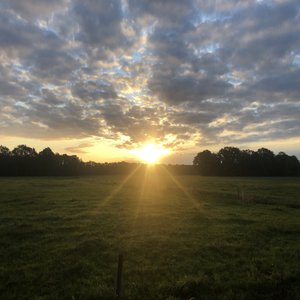 Alian Calaktica (Fade)