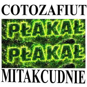 PŁAKAŁ PŁAKAŁ (VIXA PIXA INSTRUMENTAL NA REDUKCJI)
