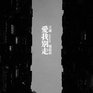 爱我别走