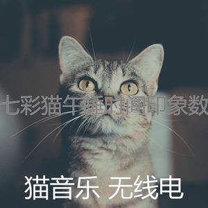 抚慰的睡猫回忆