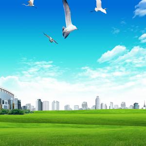 心会跟爱一起走