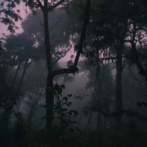 rain [Lake Ozonia Adirondacks, New York], 08/18/2017