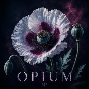 Opium